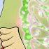 Winx Club Season 7 The Final Battle 2 EPIC Episodes