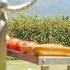 VINEYARDS IN BLOOM FRIENDS FAMILY BBQ BREATHTAKING VIEWS WHAT MORE COULD WE ASK FOR