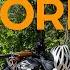 EXPLORE Bikepacking North Vancouver Island Episode 5