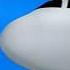 Japan Airlines Aviation Safety Instructions
