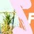 Free High Quality Music For Vlog Youtube Instagram Facebook Streamer Videos Kicktracks