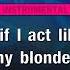 Stupid Girls Pink KARAOKE