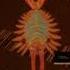 Anomalocaris I Do My Best Vrchat Meme