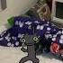 Movie Baby Toothless Is Watching Paramount With Nicktoons Fanboy Chum Chum Dental Illness YouTube