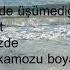 İki Dalga Arasında