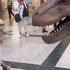 Feeding A T Rex