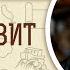 Книга Левит Глава 14 Андрей Десницкий Ветхий Завет