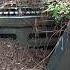 Uncovering 10 Studebakers One Jeep SUV Hidden 40 Years In North Carolina Woods
