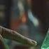 By The Lore Master Rules Series Alchemy Crafting