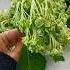 Cool Flower Trick From Dead And Wilted To Completely Fresh Hydrangeas Flower Florist Hack
