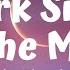 Dark Side Of The Moon Le Shuuk Lyrics Dirty Decibels