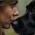 The Hidden Power Of Your Dog S Gaze