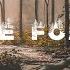 In The Forest 2 Acoustic Background Music