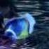 Cascada Megamix Final Fantasy X X 2