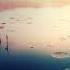 Lumidelic Pres Serene Waves 83