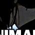 Animals Maroon 5 Edit Audio