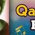 Alisher Bayniyazov Qarawillap Remix Xit2024 Bassremix Carmusicmix Qaraqalpaqstan Remixsong