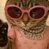 THIS CAT ATE Le Sserafim Crazy Challenge Just Got PINK ICONIC Crazychallenge Lesserafim