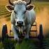 A Cow Emotional Story Cow Bear Emotion