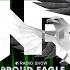 Nelver Proud Eagle Radio Show 403 Pirate Station Radio 16 02 2022 Drum Bass