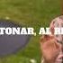 Desencantada Por Siempre Encantada Video Letra