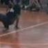 Bocaina Breakers Vs Kizomba Crew 02