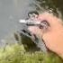 Natural Beauty Underwater Funjoy Shortvideo Viralvideo Shorts