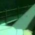 Durarara AMV HD ForgivemeSakura
