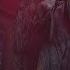 OMNIUM GATHERUM Sacred LYRIC VIDEO