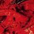 DISMEMBER Indecent Obscene OFFICIAL FULL ALBUM STREAM