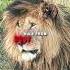 4K The Strongest Lion Scarface Lady Gaga Bloody Mary Scarface