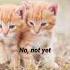 Don T Give Up On Me Andy Grammer Shorts Musiclyrics