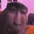 Monkey Rizz Shorts Rizz Memes