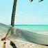 SUMMER HOUSE SAX MIX 2022 Deep House Sax Saxophone Mix By SHINE MUSIC MIX