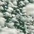 Petit Biscuit I Leave Again Shallou Official Video