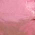 Dare To Be Sexy Soap