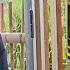 Mute Mother Worried When Child S Father Released From Prison