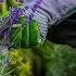 TOP 16 Gifts For Gardeners This Holiday Season