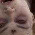 Abraham Lincoln Vampire Hunter Final Fight HD