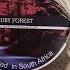 Master Soap Creations Ruby Forest Shaving Soap
