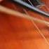 On The Sunny Side Of The Street Jazz Bow Arco Bass Olivier Babaz