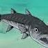 2023 Barracuda Vs 5000 Bce Barracuda