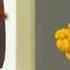 Bubble Guppies Lanchonete Dos Dinossauros Português Brasil HD