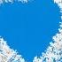 Winter Megan Daws Northern