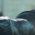 Batman V Superman Warehouse Fight Rescored Spider Man PS4 Soundtrack Mr Negative Theme