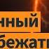 Шендерович о ненависти Трампа к Зеленскому и российской армии как школе унижения Ход мысли