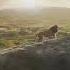 Mufasa The Lion King 2024 Opening Credits Movies And Clip Studio