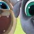 Puppy Dog Pals 360 Game Bingo Rolly S Dog House Disney Junior UK