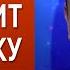 За что наказан Дубинский Бортник Зеленский Коломойский Слуга народа локдаун