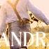 Sandra N Am Copilul Mare Official Video